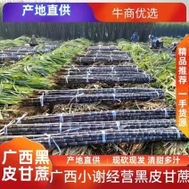 广西精品黑皮甘蔗产地直发免费提供回头车大量上市