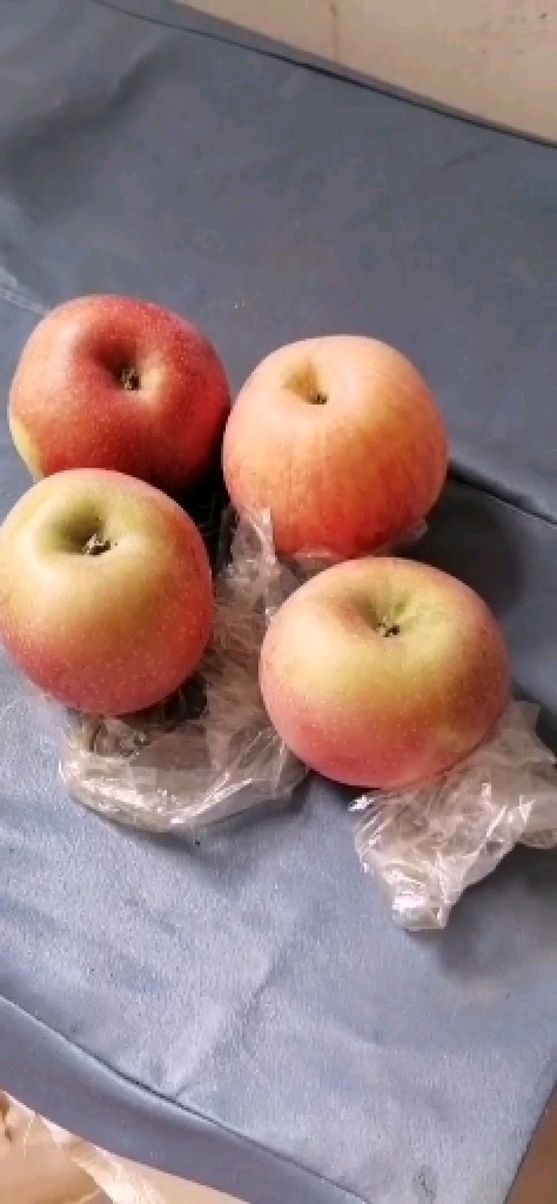 灵宝膜代富士色泽鲜艳，口感脆甜，价格便宜。欢迎选购！