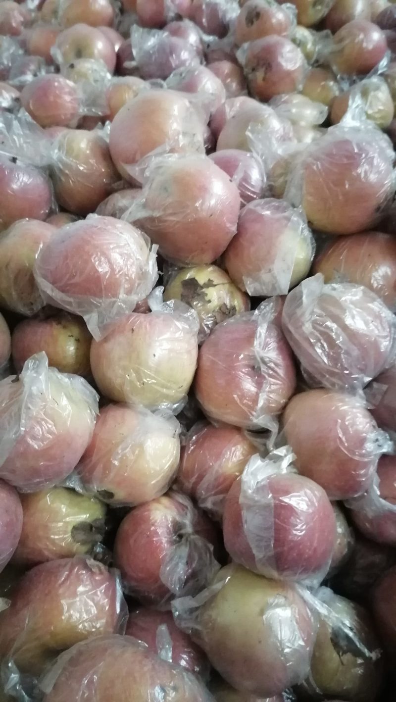 灵宝膜代富士色泽鲜艳，口感脆甜，价格便宜。欢迎选购！