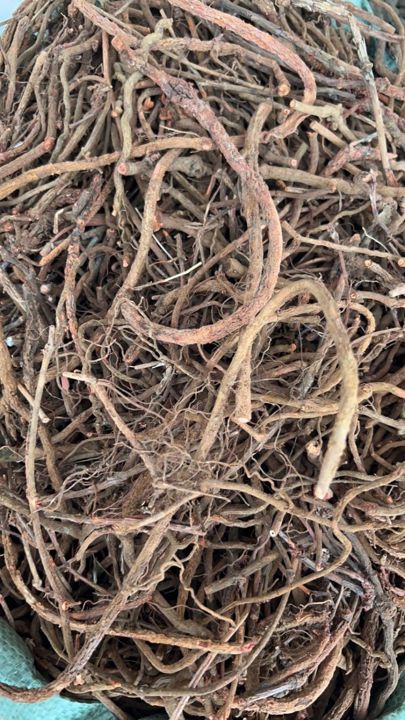 茜草纯根茜草无硫各种规格切段、整条无阳枝