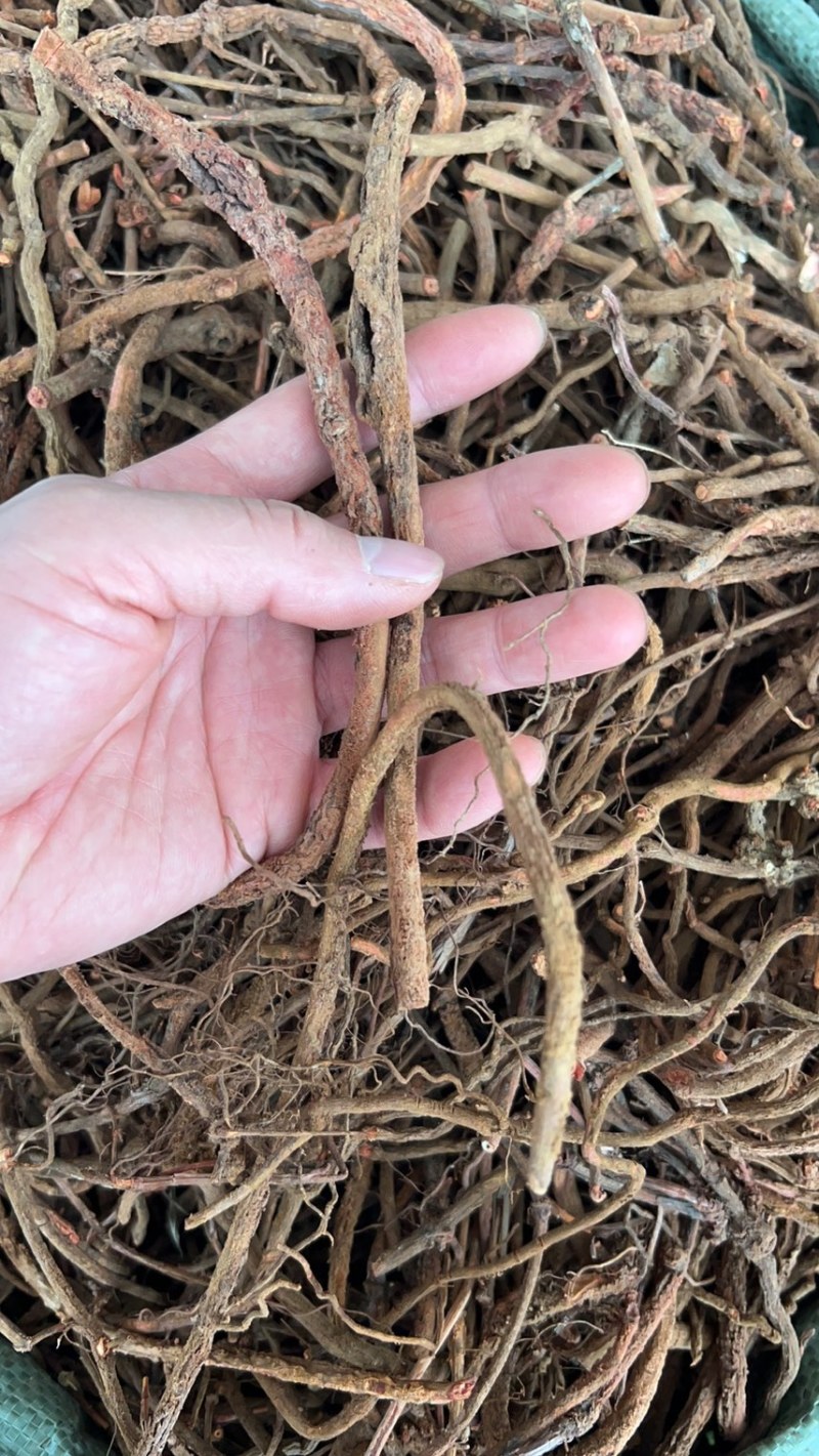 茜草纯根茜草无硫各种规格切段、整条无阳枝