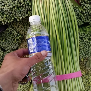 红帽蒜苔蒜薹,条长色绿,精加工包装,高质量原包,量大从