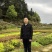 毛杜鹃，红继木小苗，四季桂，小叶栀子，各类色块小苗