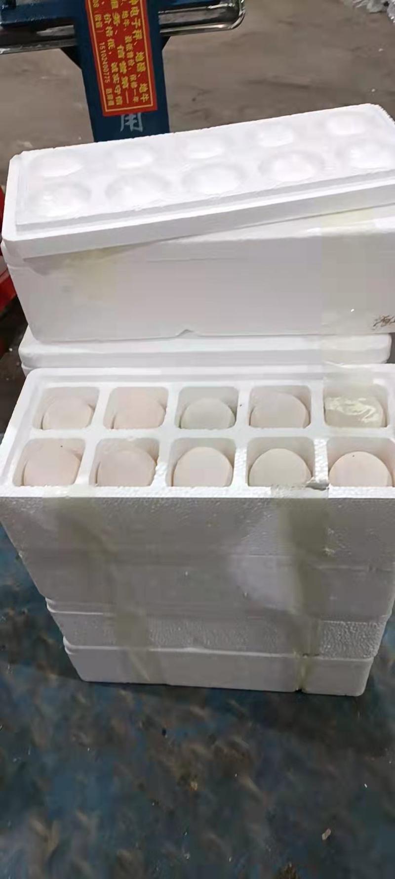 网红盒装大鹅蛋，泡沫箱装鹅蛋，鲜鹅蛋，大白蛋，大白鹅蛋