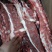 加肉羊蝎子，含肉量高，价格合适，可根据客户要求锯断