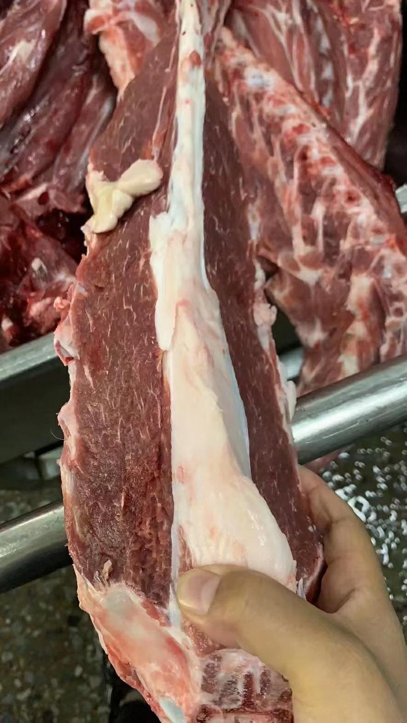 加肉羊蝎子，含肉量高，价格合适，可根据客户要求锯断