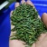 恩施玉露茶叶硒茶绿茶春茶芽茶明前茶湖北玉露茶叶蒸青工艺