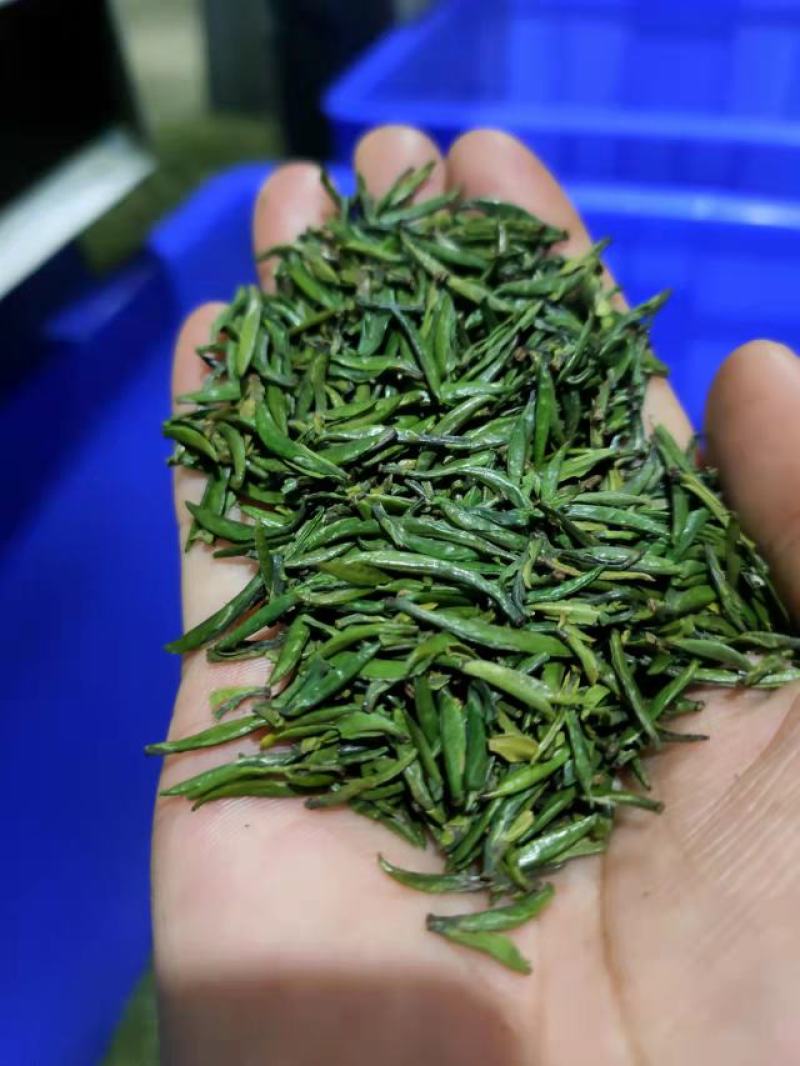 恩施玉露茶叶硒茶绿茶春茶芽茶明前茶湖北玉露茶叶蒸青工艺