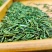 恩施玉露茶叶硒茶绿茶春茶芽茶明前茶湖北玉露茶叶蒸青工艺