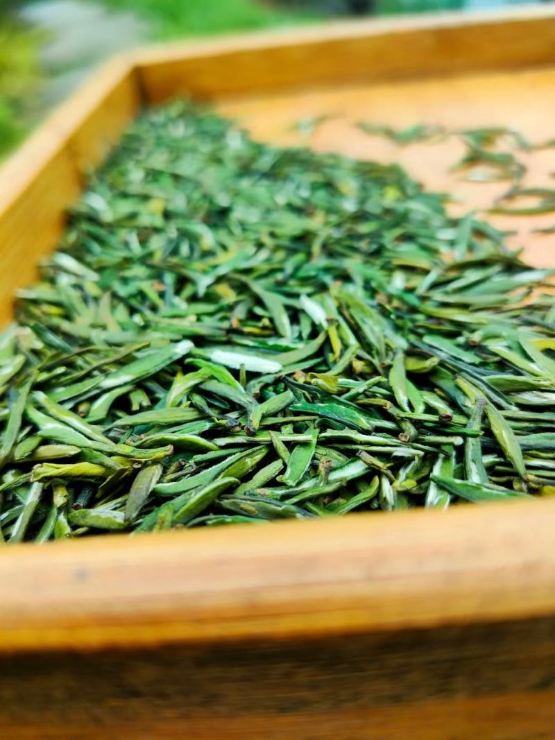 恩施玉露茶叶硒茶绿茶春茶芽茶明前茶湖北玉露茶叶蒸青工艺