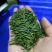 恩施玉露茶叶硒茶绿茶春茶芽茶明前茶湖北玉露茶叶蒸青工艺