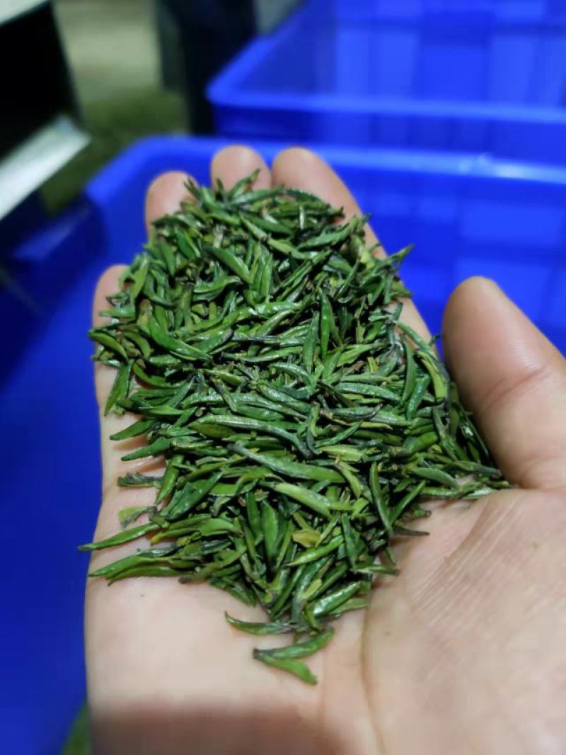 恩施玉露茶叶硒茶绿茶春茶芽茶明前茶湖北玉露茶叶蒸青工艺