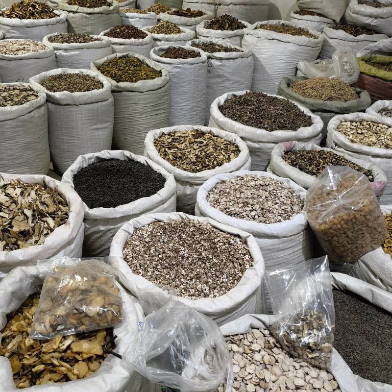 地骨皮新货地骨皮实图拍摄产地采购一手货源