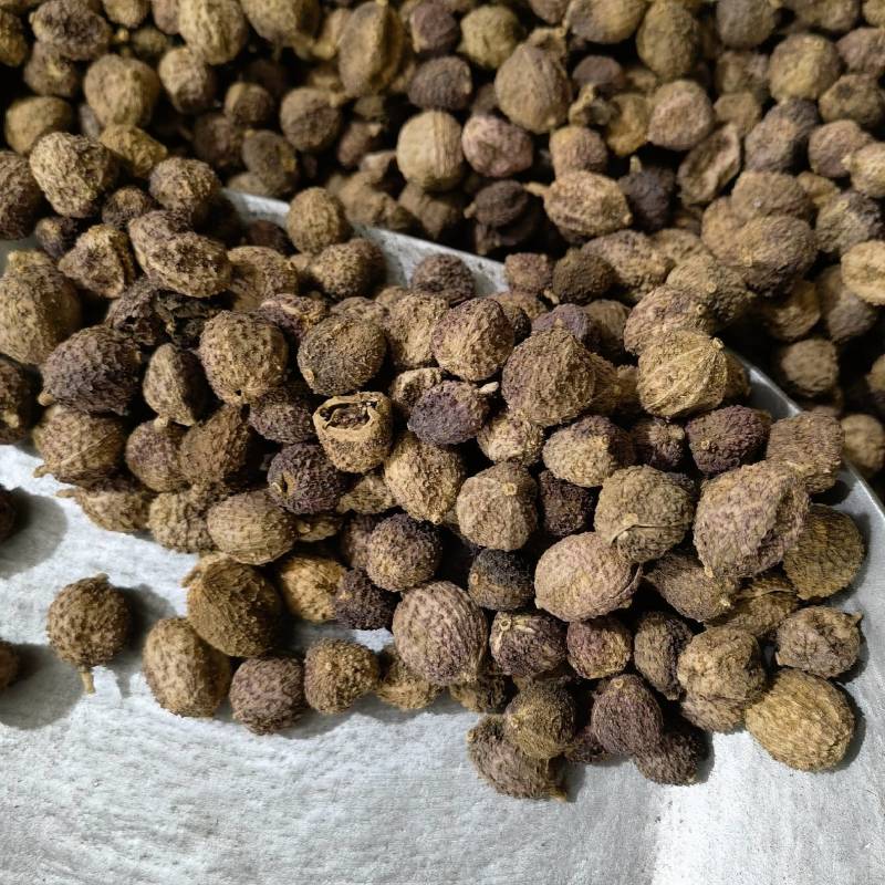 砂仁国产阳春沙仁含量达标实图拍摄今年新货