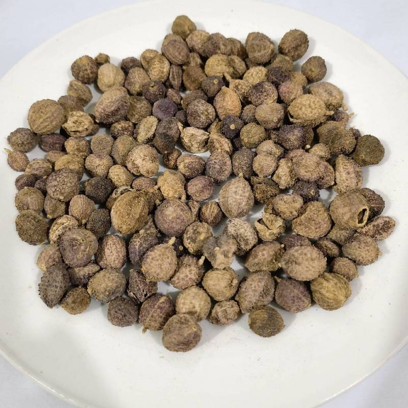 砂仁国产阳春沙仁含量达标实图拍摄今年新货