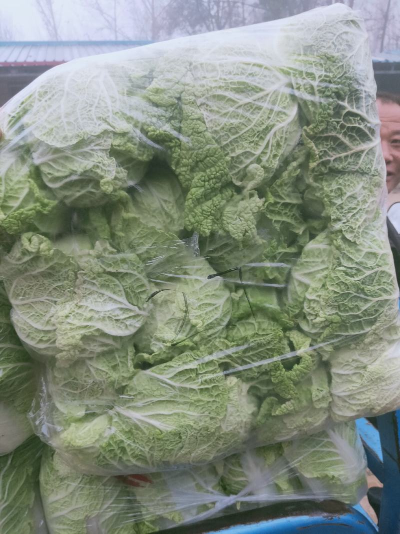 水果玉米、黄瓜、豆角、娃娃菜、香菜、回香、球生菜等……