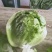 水果玉米、黄瓜、豆角、娃娃菜、香菜、回香、球生菜等……
