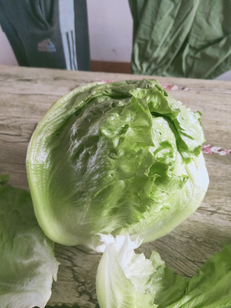 水果玉米、黄瓜、豆角、娃娃菜、香菜、回香、球生菜等……