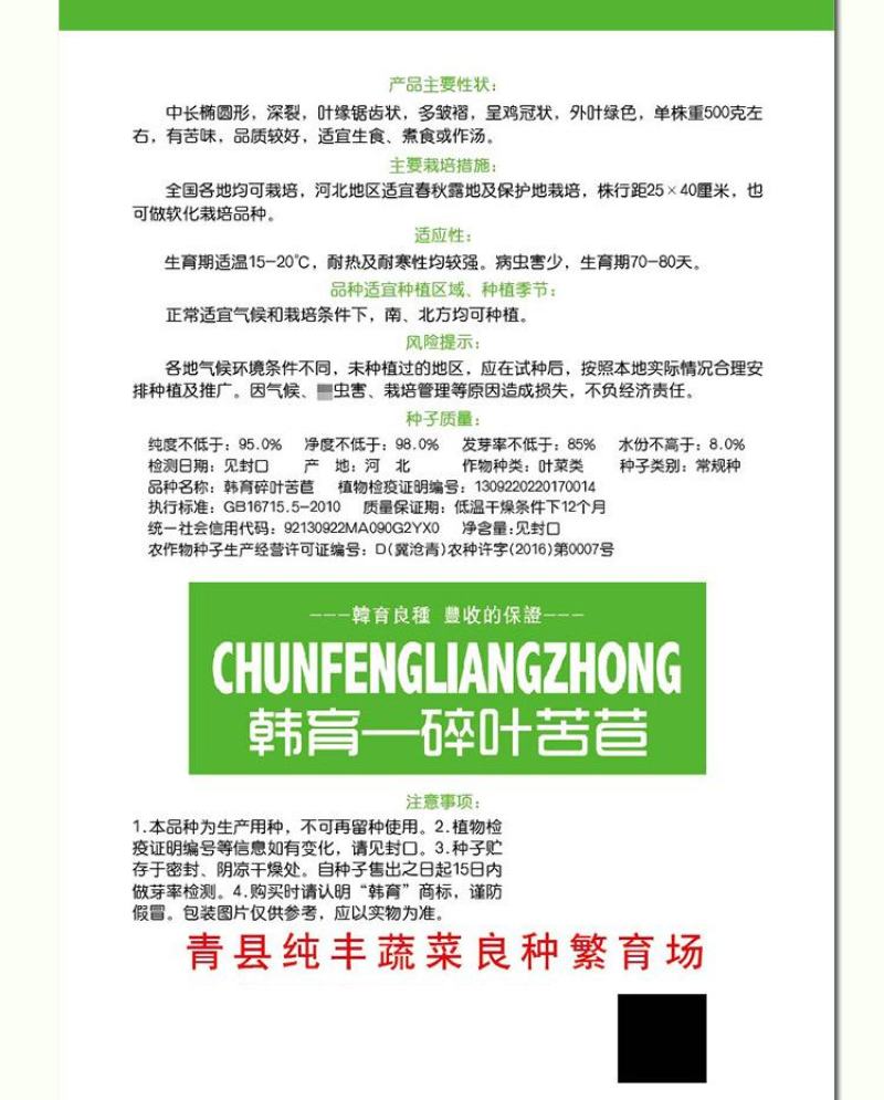 碎叶苦苣种子，单株重500克左右