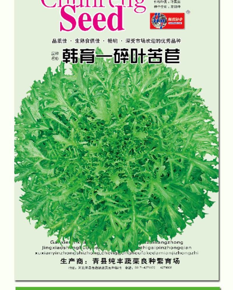 碎叶苦苣种子，单株重500克左右