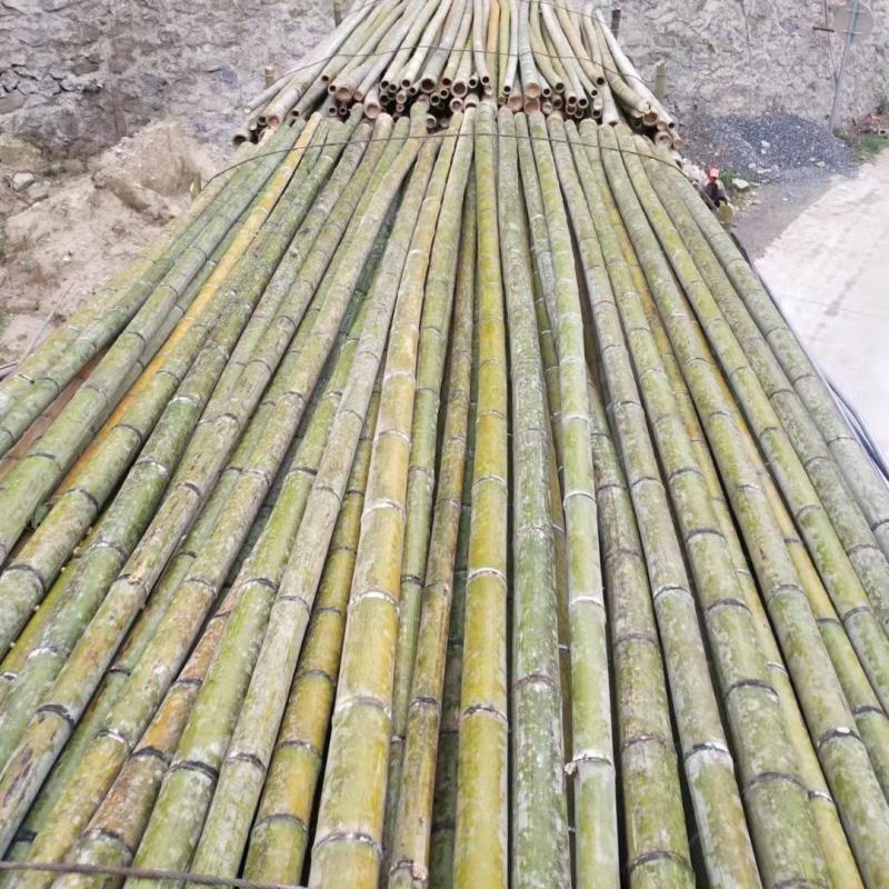 香蕉竹规格在竹头量到1.5米的地方5.5寸以上；7寸下的
