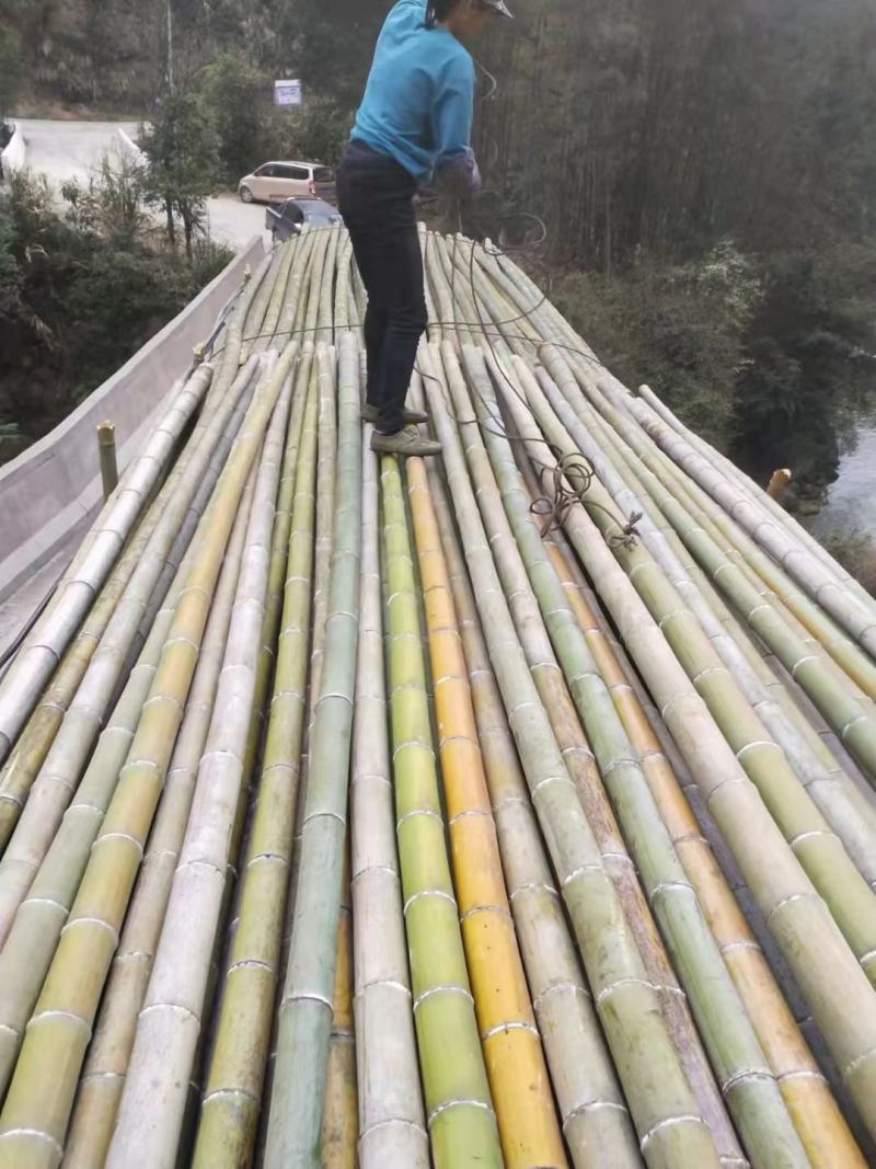 香蕉竹规格在竹头量到1.5米的地方5.5寸以上；7寸下的