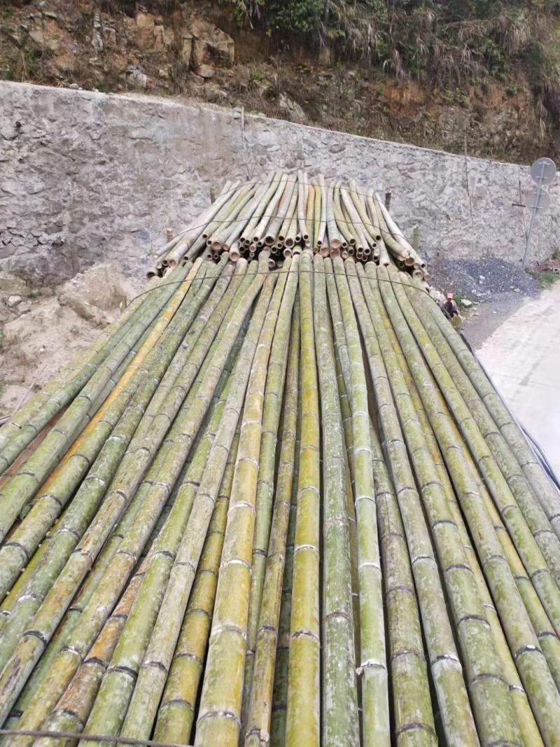 香蕉竹规格在竹头量到1.5米的地方5.5寸以上；7寸下的