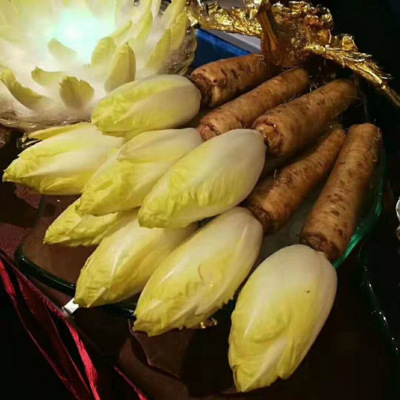 生菜种子玉兰菜种子菊苣芽球生菜欧洲比利时软化菊苣四季阳台