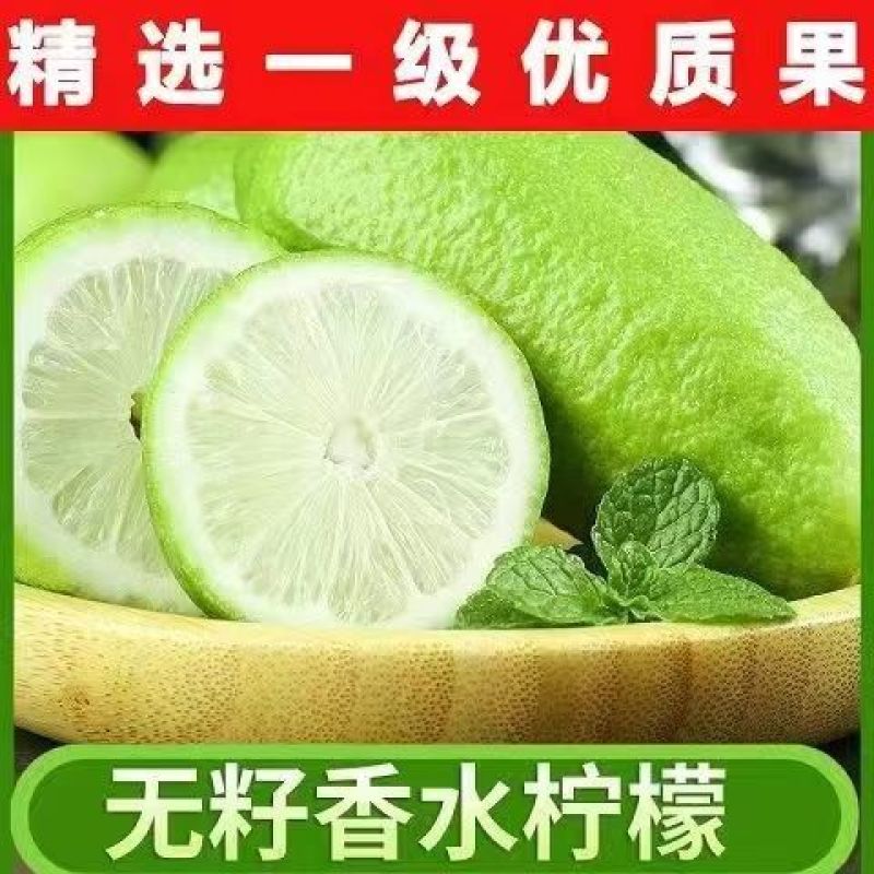 无籽香水柠檬青柠檬精选一级果广东新鲜水果新鲜青柠檬奶茶店