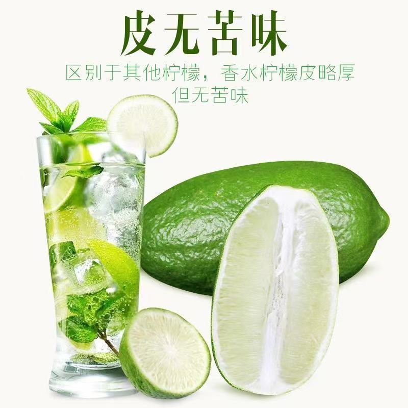 无籽香水柠檬青柠檬精选一级果广东新鲜水果新鲜青柠檬奶茶店