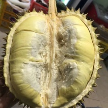 靓靓的金枕榴莲，不泡药水不催熟，每件净重不低于30斤