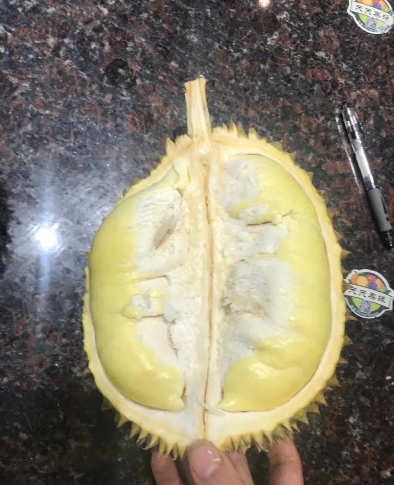 靓靓的金枕榴莲，不泡药水不催熟，每件净重不低于30斤