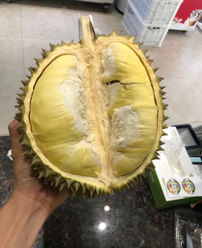 靓靓的金枕榴莲，不泡药水不催熟，每件净重不低于30斤