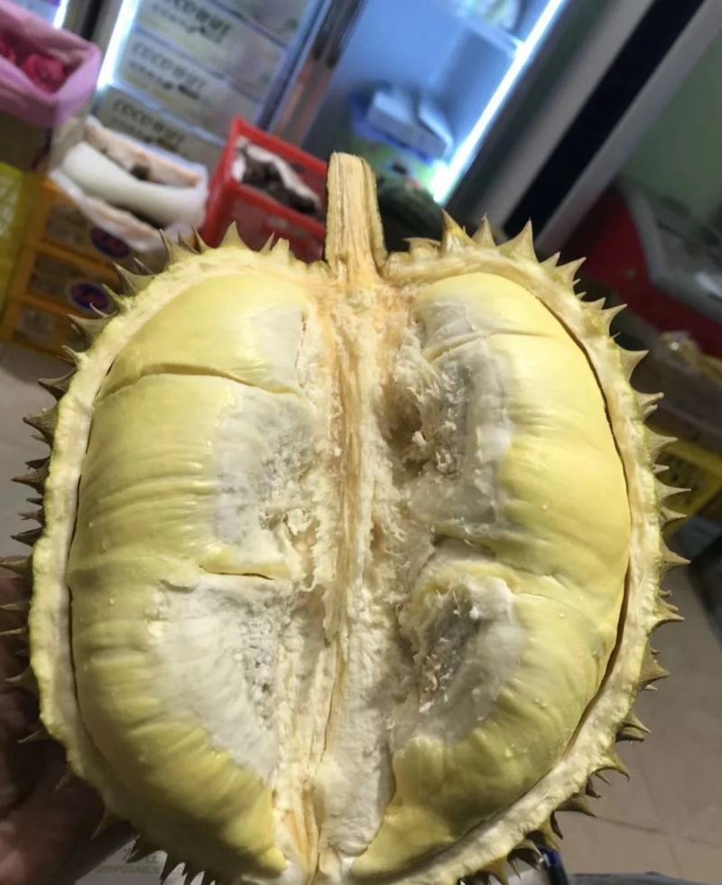 靓靓的金枕榴莲，不泡药水不催熟，每件净重不低于30斤