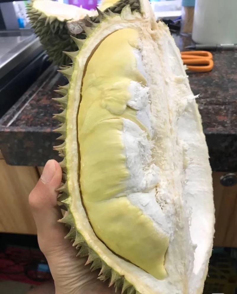 靓靓的金枕榴莲，不泡药水不催熟，每件净重不低于30斤