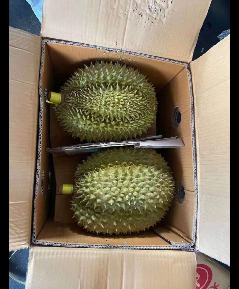靓靓的金枕榴莲，不泡药水不催熟，每件净重不低于30斤