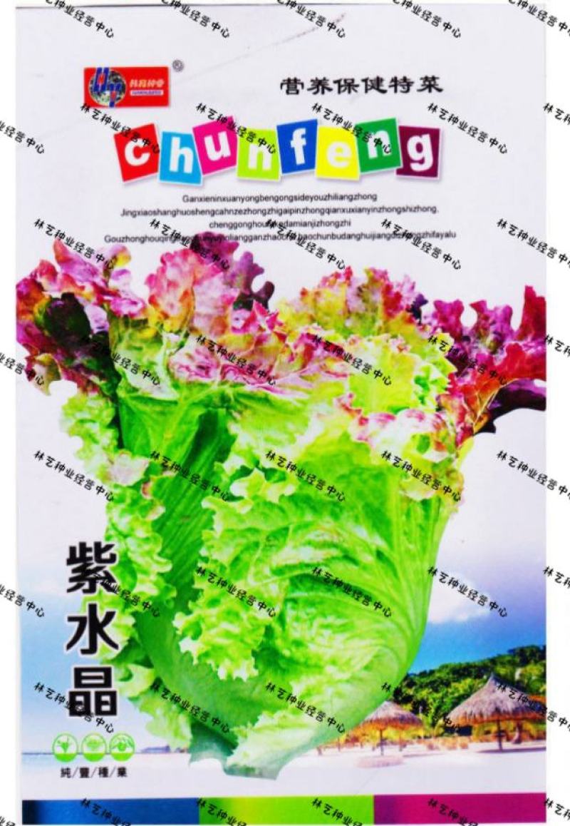 紫水晶生菜种子花叶生菜紫叶生菜种籽四季播阳台庭院盆栽蔬菜