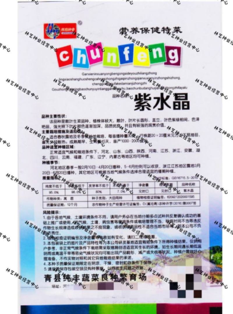 紫水晶生菜种子花叶生菜紫叶生菜种籽四季播阳台庭院盆栽蔬菜