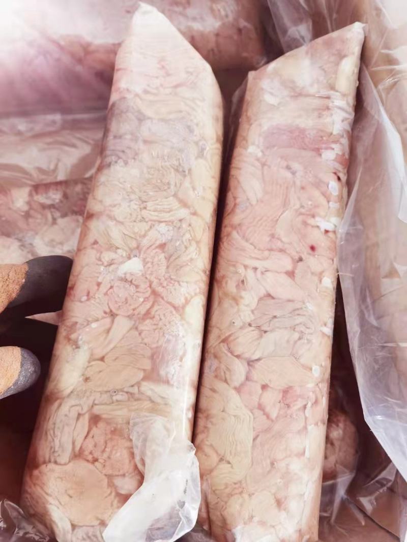 羊细肠10吨现货，全国冷藏车发货，支持一件样品
