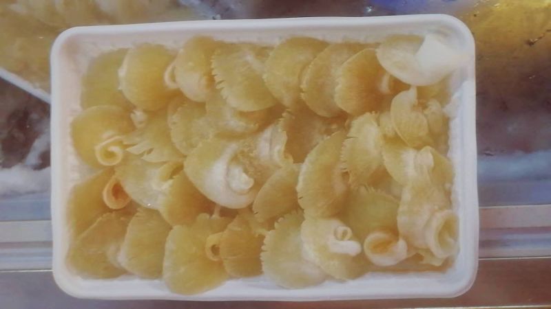 鱼翅