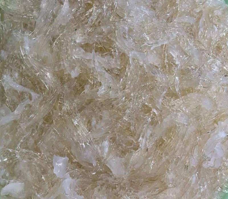 鱼翅