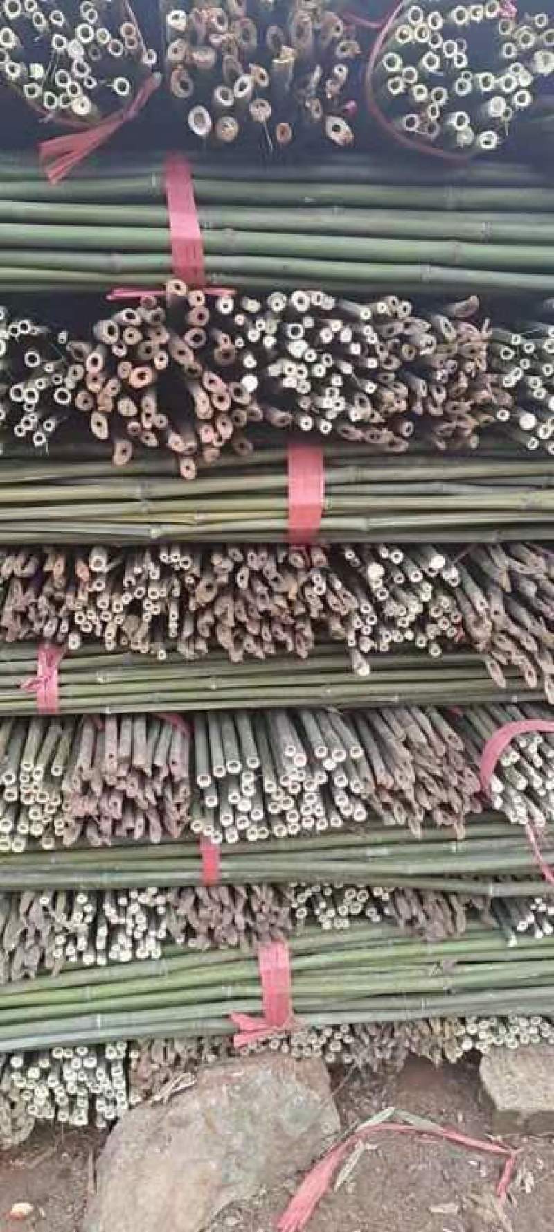 四川广安小竹竿有需要请联系，豆角，西红柿，茄子，辣椒搭架用
