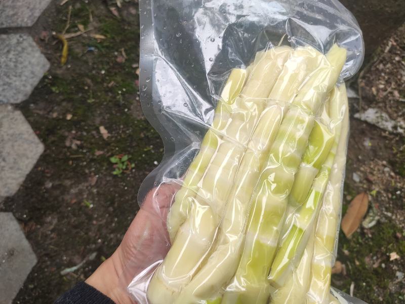 苦笋新鲜福建苦笋去壳批发可真空包装春笋雷笋水煮苦笋