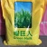绿巨人甜高粱养殖必备高粱种子甜高梁种子饲用甜高粱牧草种