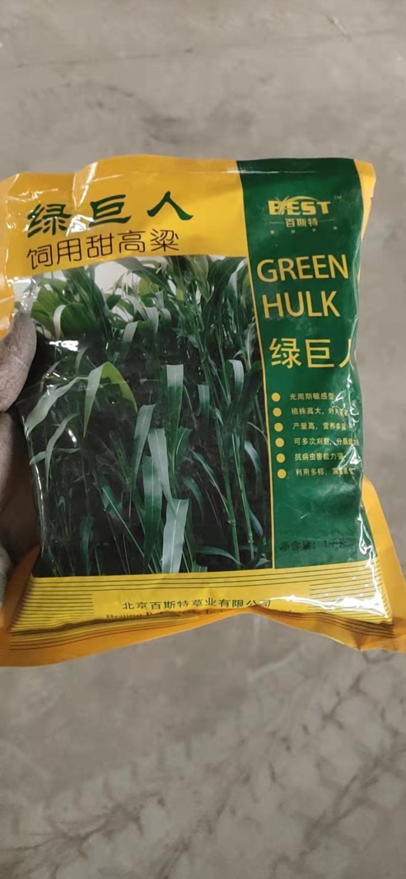 绿巨人甜高粱养殖必备高粱种子甜高梁种子饲用甜高粱牧草种