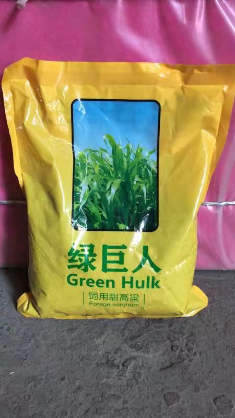 绿巨人甜高粱养殖必备高粱种子甜高梁种子饲用甜高粱牧草种
