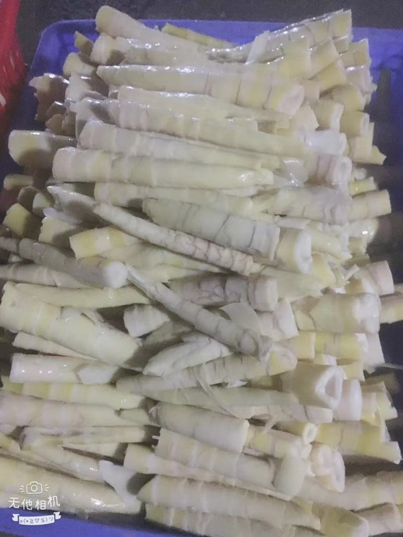 江华贺州姑婆山苦笋已上市，大量出货，量大价优。可当天发货
