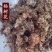 杨树花中药材批发零售杨树花