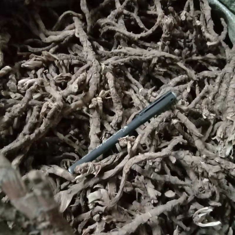 优质量大菖蒲