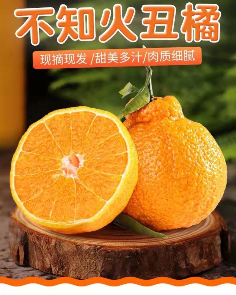 【一件代发】正宗四川丑橘不知火爆甜新鲜应季水果批发